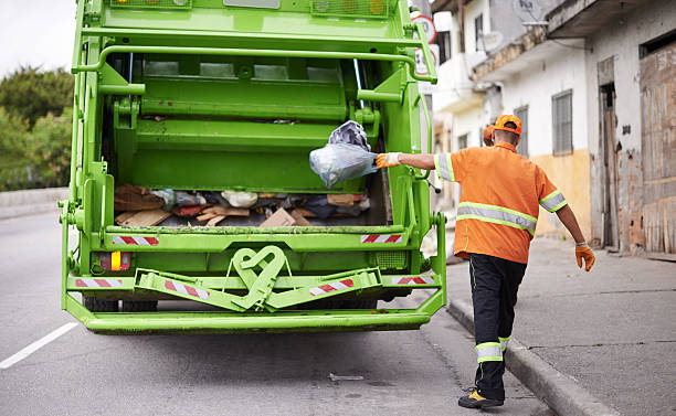 Best Shed Removal  in USA